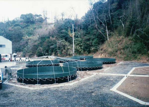 研究施設・養殖場など__水槽の画像