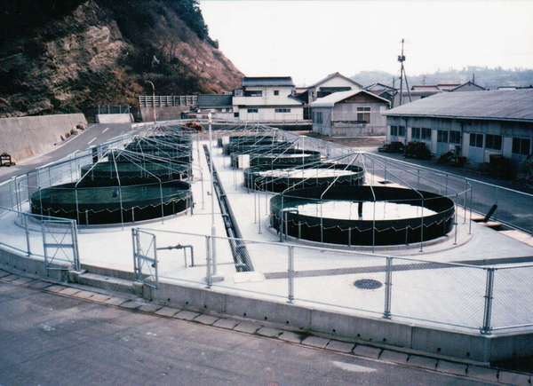 研究施設・養殖場など__水槽